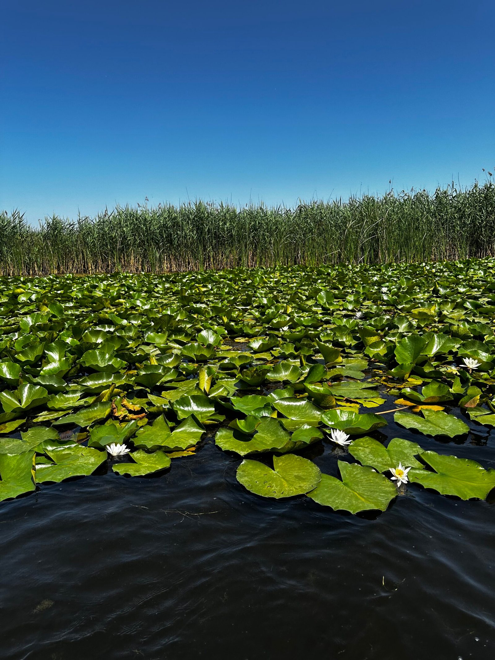 photo 09.06.2025, 11 49 27