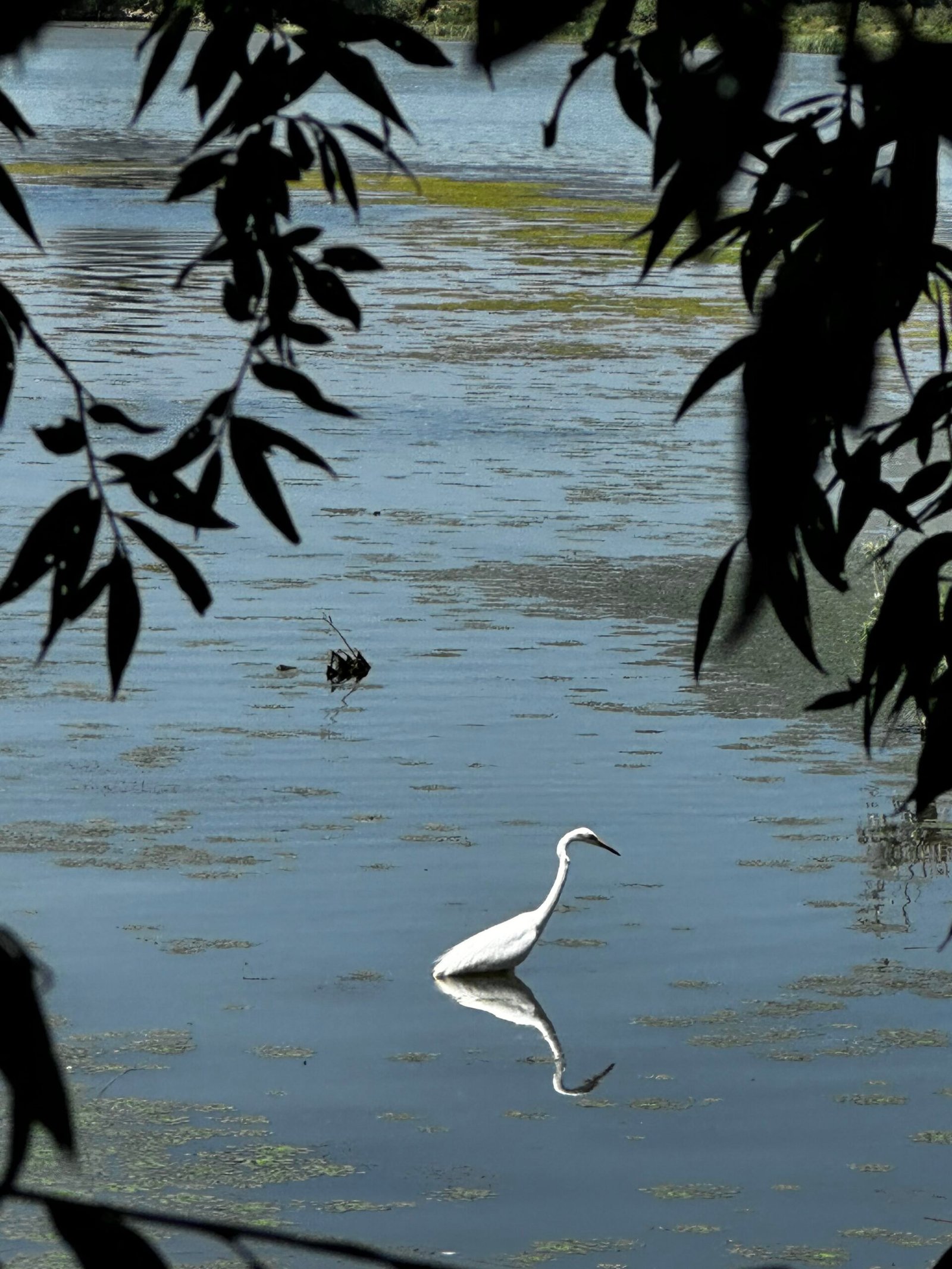 photo 09.06.2025, 13 21 15