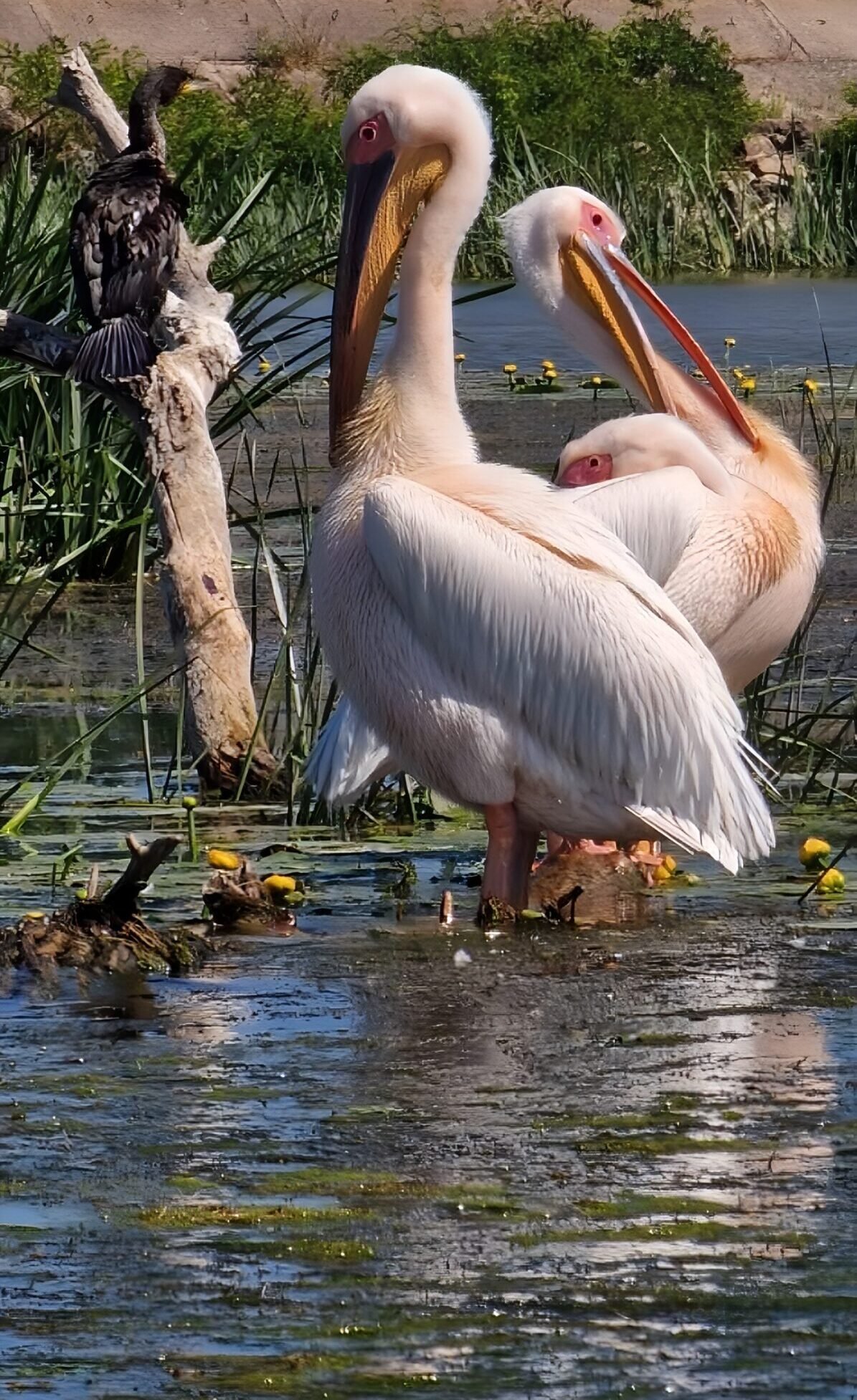 photo 18.10.2025, 14 03 50