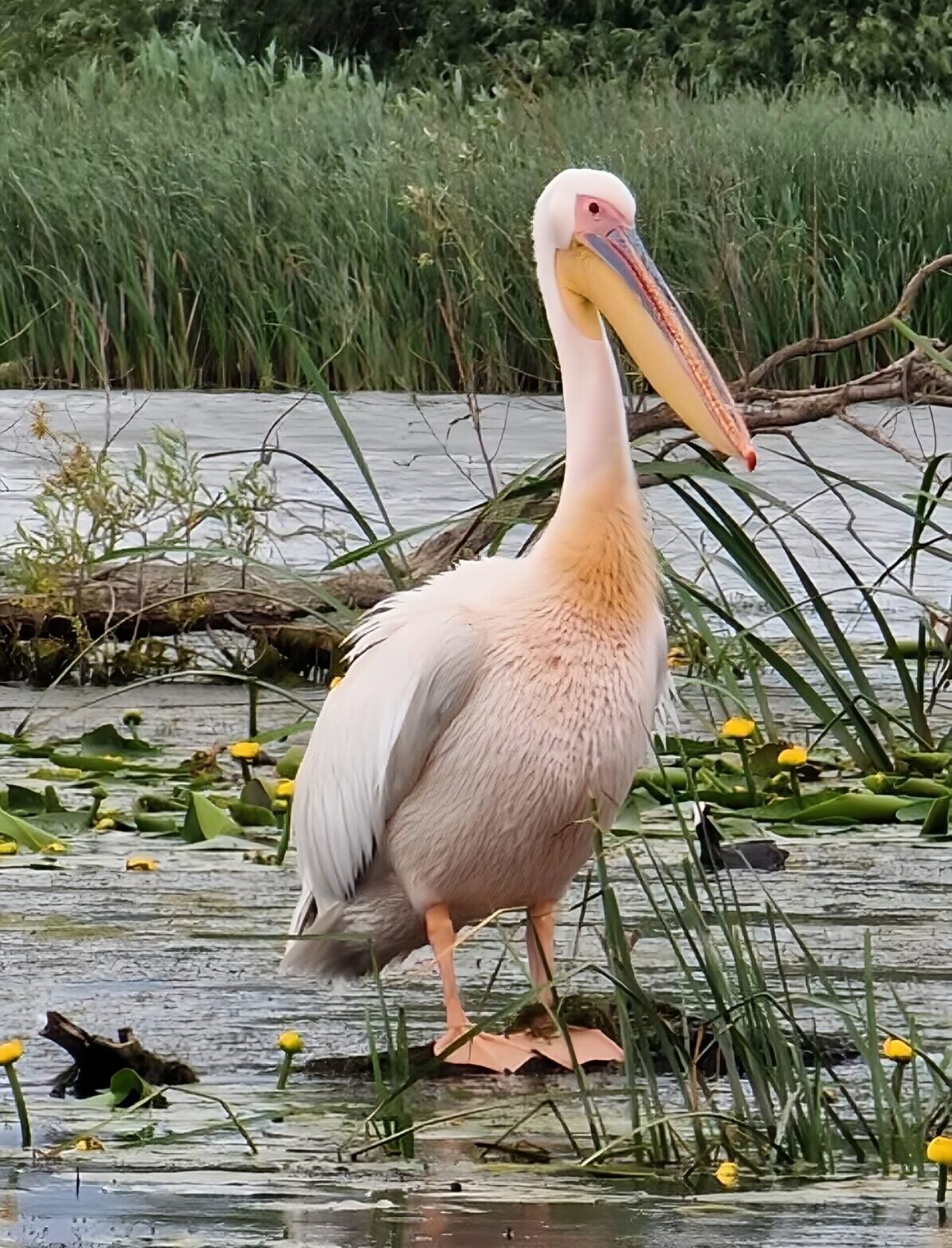 photo 18.10.2025, 14 04 35