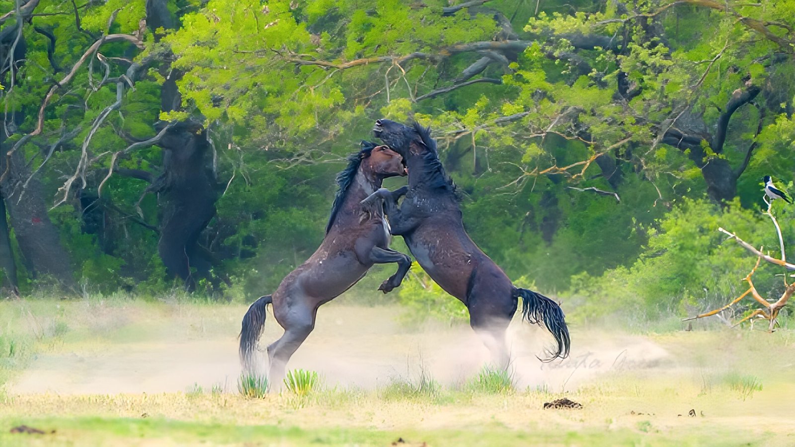 photo 18.10.2025, 14 06 24